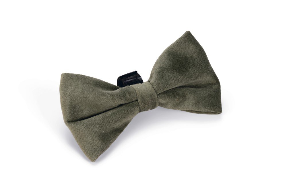 Designed by Lotte Hondenstrik Zaza – Halsband Hond – Velvet – Groen - Afbeelding 2